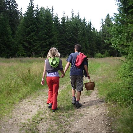 Отель Penzion U Studeneho Potoka Нове-Хуте Экстерьер фото