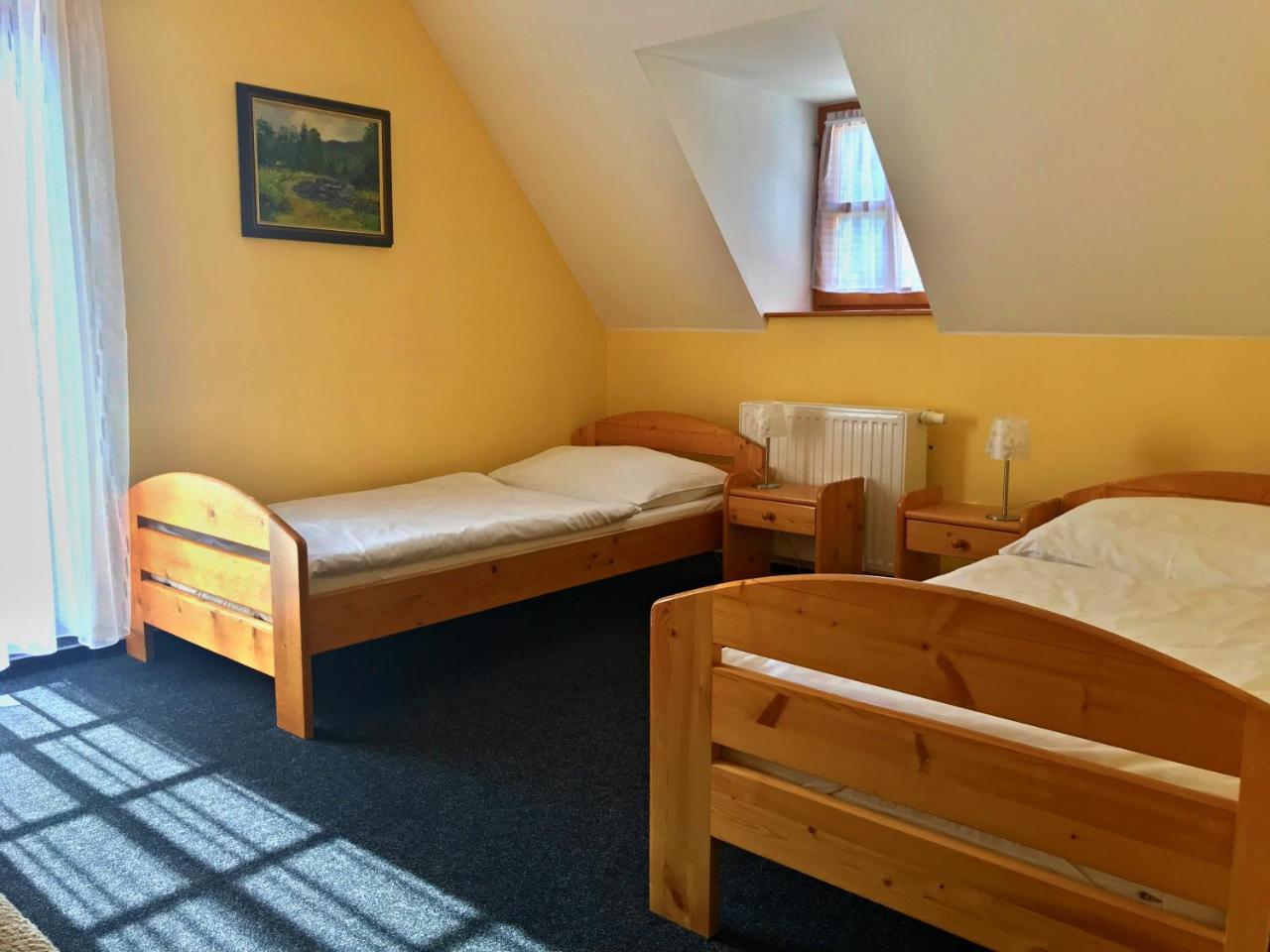 Penzion U Studeneho Potoka Нове-Хуте Экстерьер фото